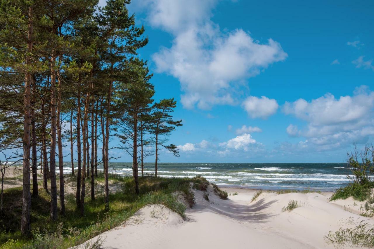 Forest Palanga